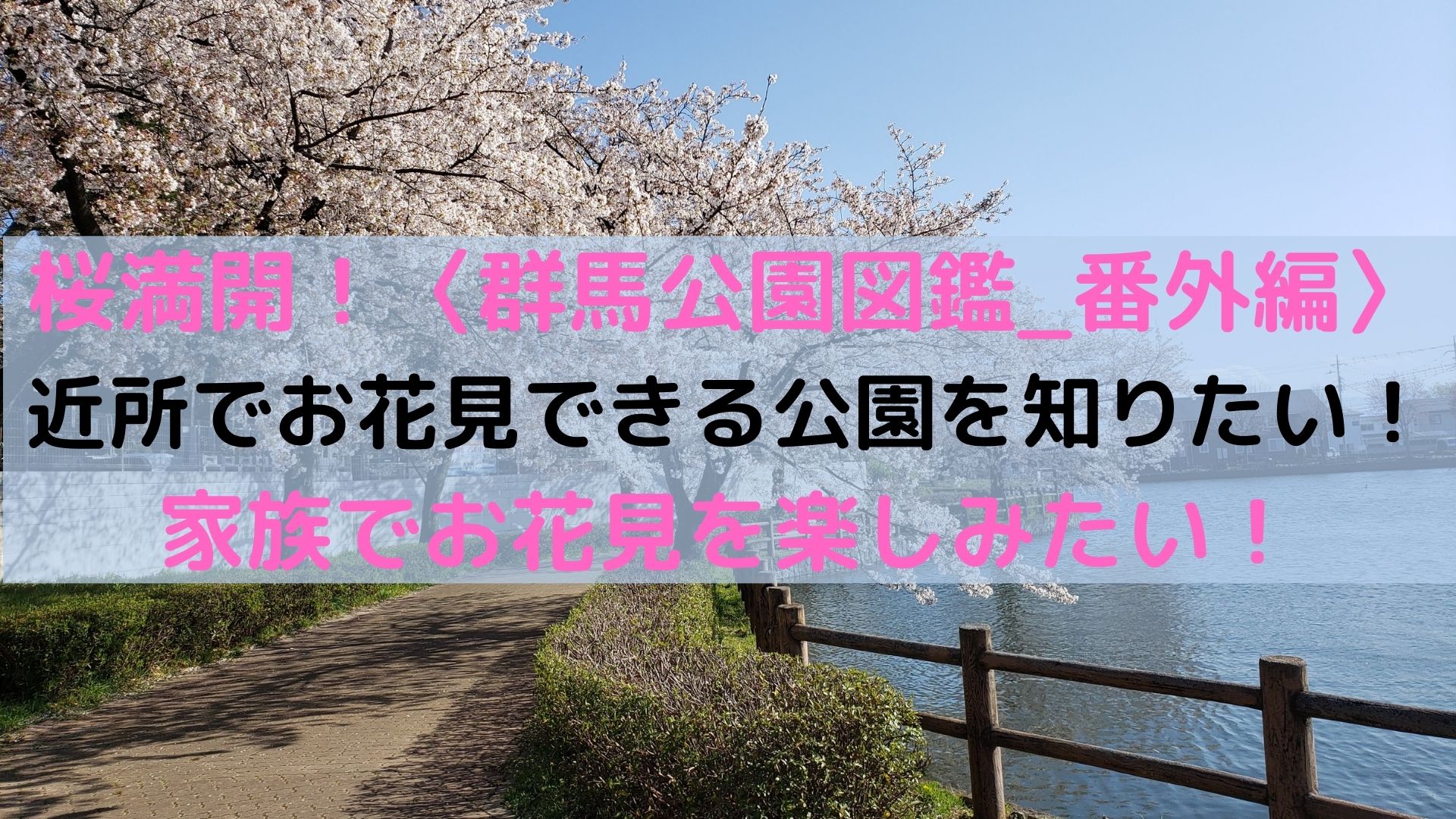 桜満開 群馬公園図鑑 番外編 近所でお花見できる公園を知りたい 家族でお花見を楽しみたい 22年の春爛漫 Happy Smilelife